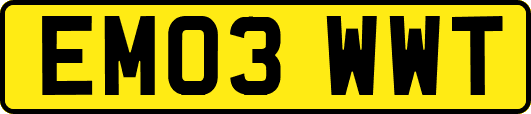 EM03WWT