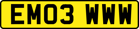 EM03WWW