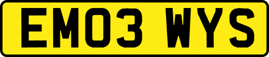 EM03WYS