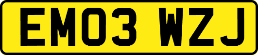 EM03WZJ