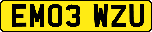 EM03WZU