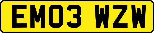 EM03WZW