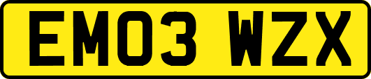 EM03WZX