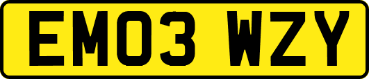 EM03WZY