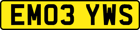 EM03YWS