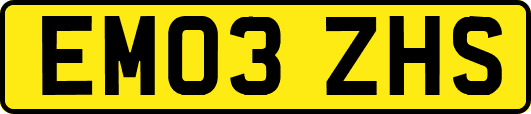 EM03ZHS