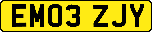 EM03ZJY