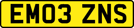 EM03ZNS