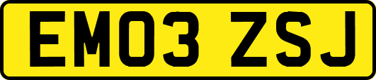 EM03ZSJ