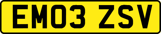 EM03ZSV