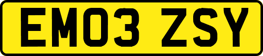 EM03ZSY