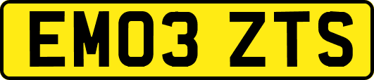 EM03ZTS