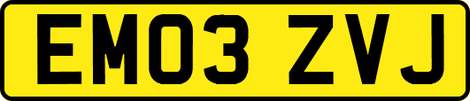 EM03ZVJ
