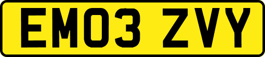 EM03ZVY