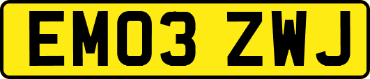 EM03ZWJ