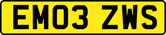 EM03ZWS