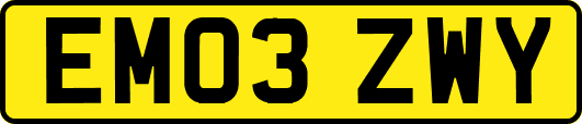 EM03ZWY