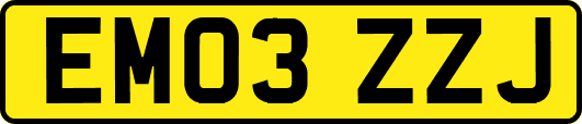 EM03ZZJ