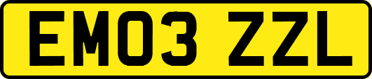 EM03ZZL