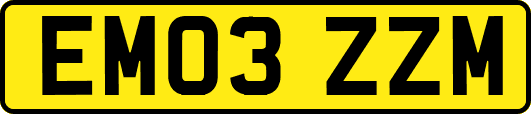 EM03ZZM