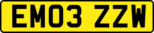 EM03ZZW