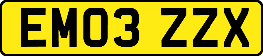 EM03ZZX