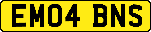 EM04BNS