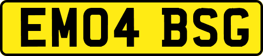 EM04BSG