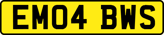 EM04BWS