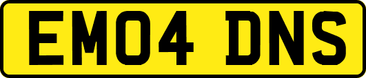 EM04DNS