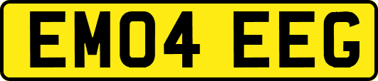 EM04EEG