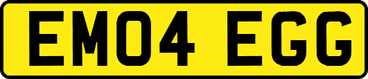 EM04EGG