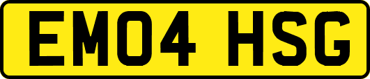 EM04HSG