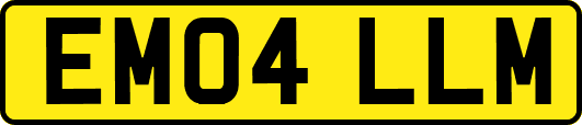 EM04LLM