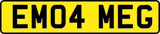 EM04MEG