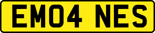 EM04NES