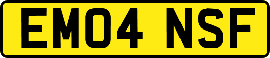 EM04NSF