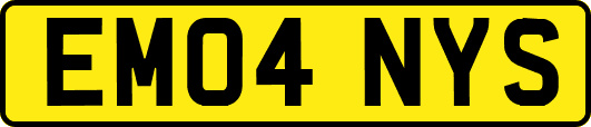 EM04NYS