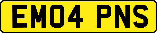 EM04PNS