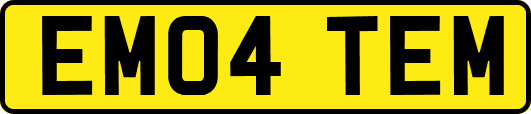 EM04TEM