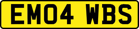 EM04WBS