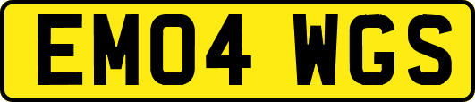 EM04WGS