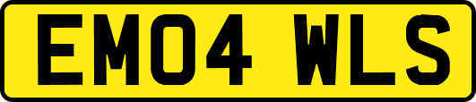 EM04WLS