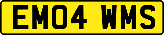 EM04WMS