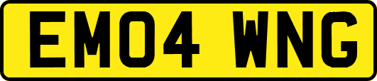 EM04WNG