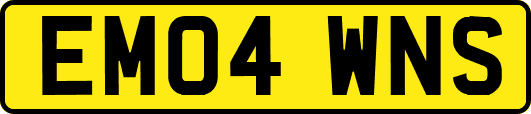 EM04WNS