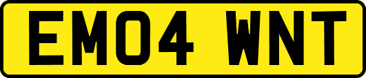 EM04WNT