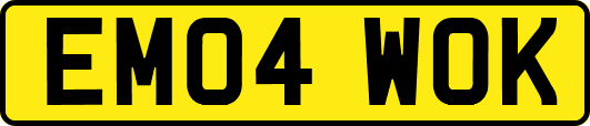 EM04WOK