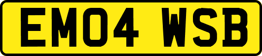 EM04WSB