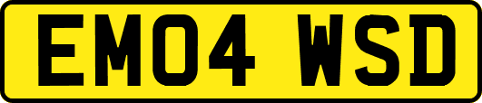 EM04WSD
